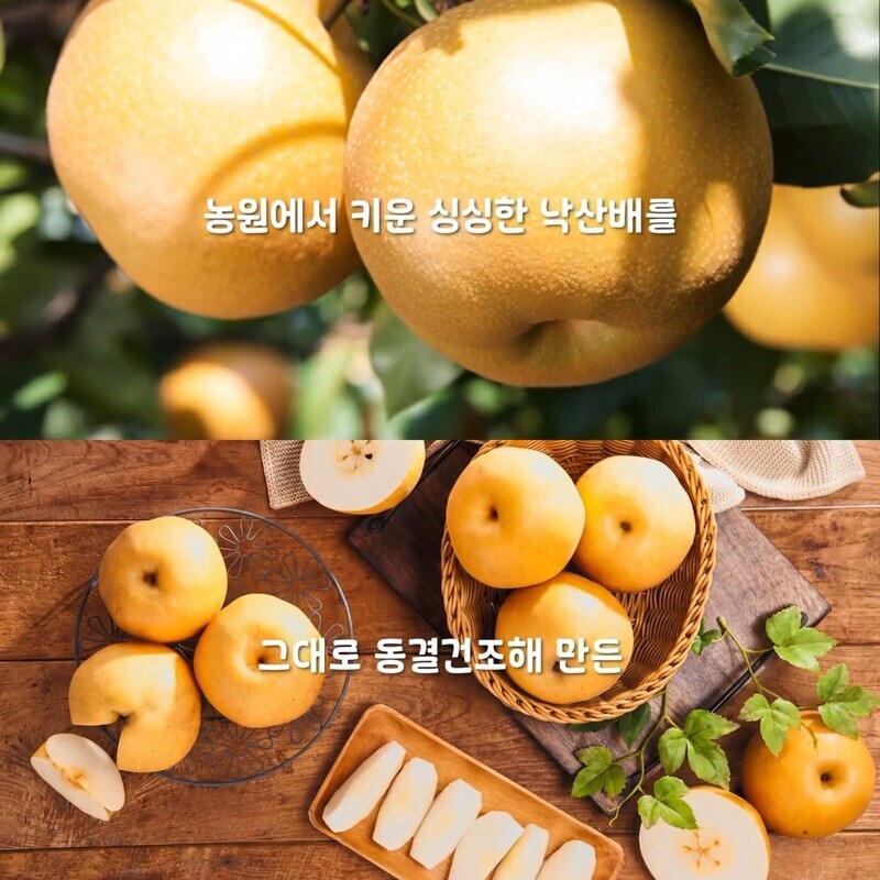 낙산배,낙산배 월리농원, BAEBAE 배칩, 배100% 동결건조칩